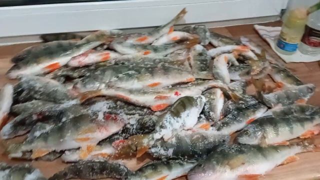 всё там же, всё тот же!17.12.22 смотреть онлайн