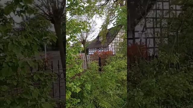 соломенная крыша в Германии. #украинцывгермании #семе? смотреть онлайн