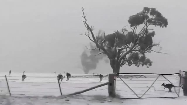 10 ЗАГАДОЧНЫХ ПРИРОДНЫХ АНОМАЛИЙ СНЯТЫХ НА КАМЕРУ