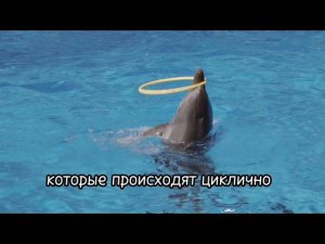 Законы мироздания. Часть 2