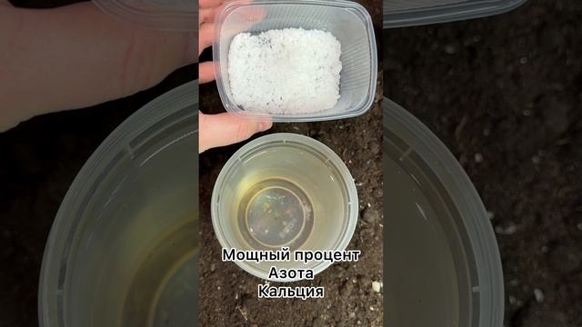 Все виды Цимус можно найти на любом маркетплейсе по запросу «Удобрения Цимус»
Артикул WB Аминоцимус