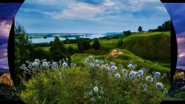 красивая природа