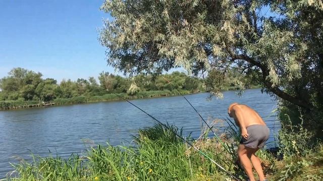 Сазан карп и караси при помощи цуцика!!!!!Днестр! смотреть онлайн