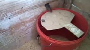 Самодельная мышеловка,как сделать ловушку
