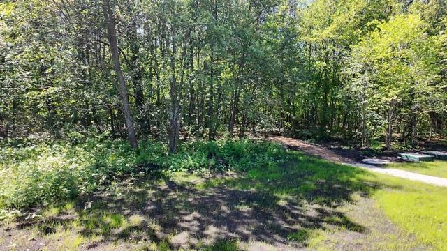 #Уфа#Скандинавия#Роскилле#2024#Июнь смотреть онлайн