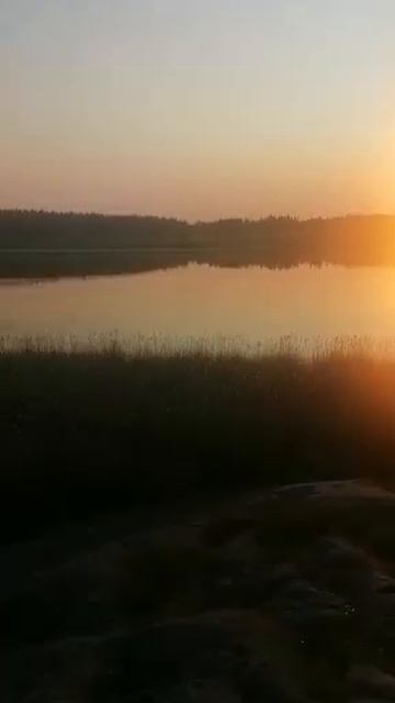 Сортавала #travel Парк культуры и отдыха #Ваккосалми #карелия смотреть онлайн