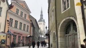 Таллин 🇪🇪 Эстония. По улицам старого города. Это круто 💯Алекс Авантюрист