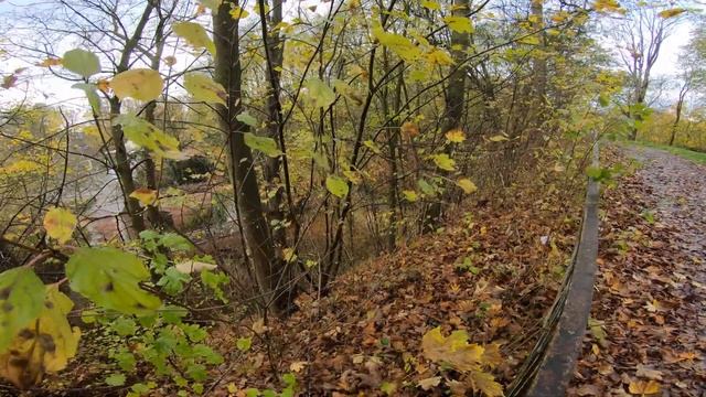 Стена крепости звезды Ulm, Германия смотреть онлайн