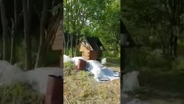 Обзор Палатка Андреналин Фэмили. смотреть онлайн