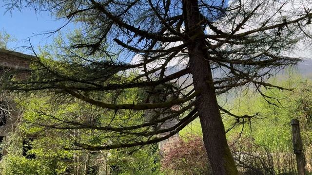 Абхазия23-04-2025