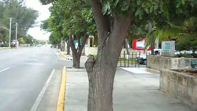 Варадеро.Мрачно.AVI смотреть онлайн