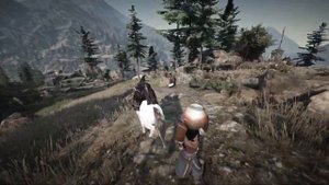 BlackDesert. Мое мнение про "поглот" и "уклонение"