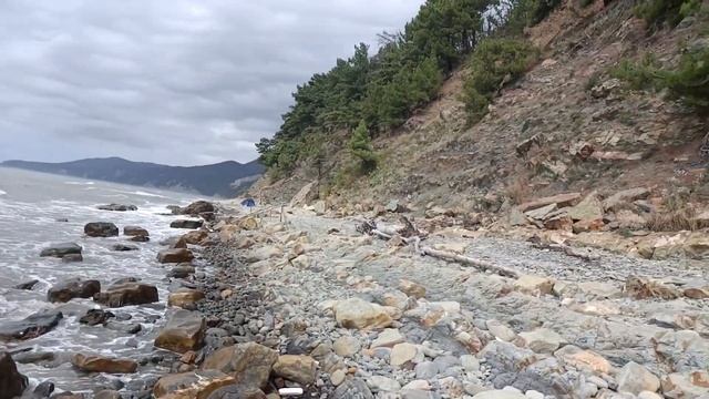 Дикий пляж в Кринице Геленджик смотреть онлайн