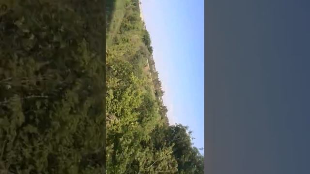 Красоты Луганска смотреть онлайн