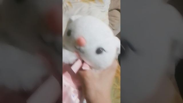 Здлавствуйте Мальсики