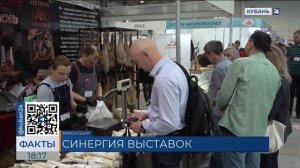 «Экспоград Юг» объединил сразу четыре выставки в Краснодаре