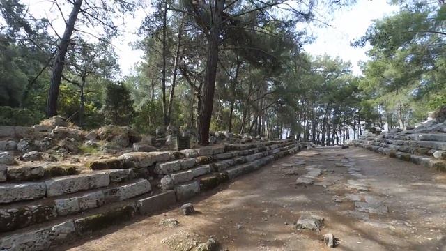 Фазелис смотреть онлайн