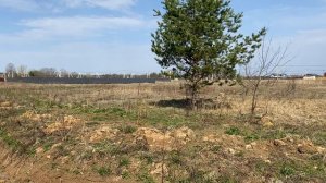 Земельный участок в поселке "Новые Велеми"