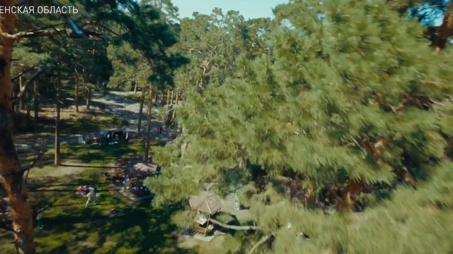 Тюменская область-2022 смотреть онлайн