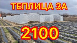 Теплица. Сколько стоит Как построить Теплица своими руками.