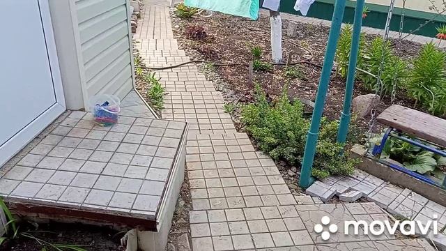 23 апреля