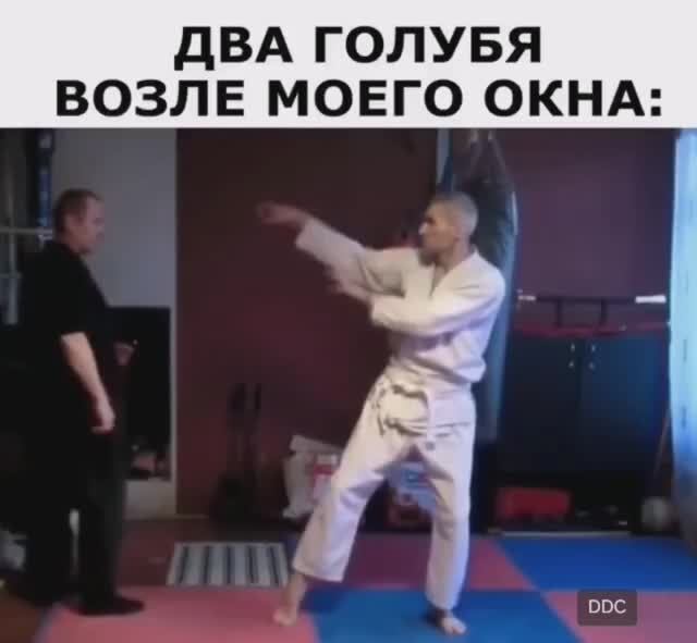 ДВА_МАСТЕРА_ВИН_ЧУН