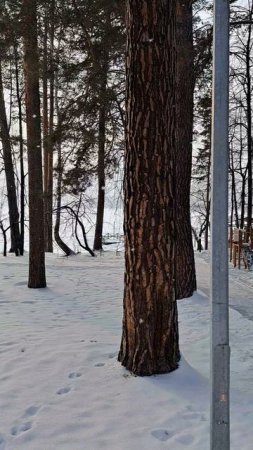 ОЗЕРО ЕЛОВОЕ. УРАЛЬСКИЕ ЗОРИ.