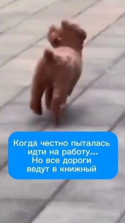 Когда в последний раз покупали новые книжечки?