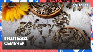 Чем полезны СЕМЕЧКИ? | Доктор 24
