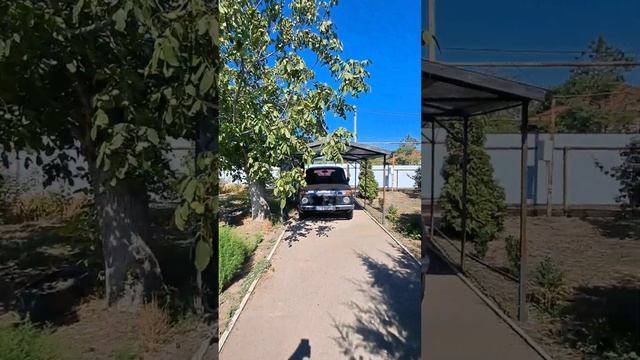На продаже усадьба #каневская #каневскойрайон #недвижимостьканевская #недвижимостьканевскойрайон