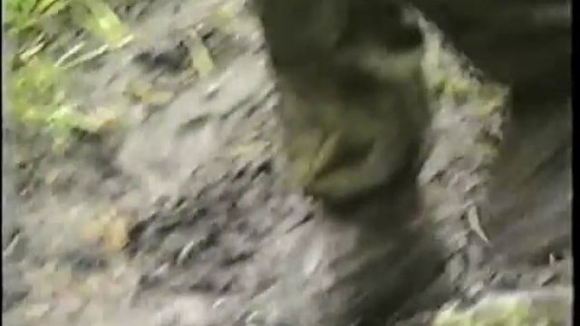 Аргут. Водный туризм | Экстрим Партия смотреть онлайн