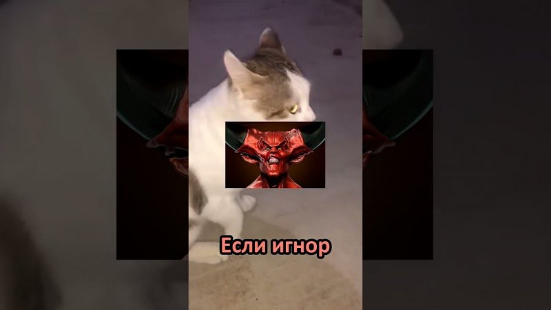 Иисус или Дьявол? #рек #рекомендации #кот #игнор #котики #выбери #иисус #а4 #shortvideo
