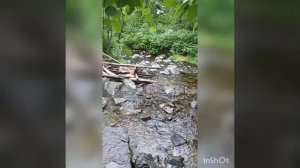 Национальный парк Алханай Забайкальский край