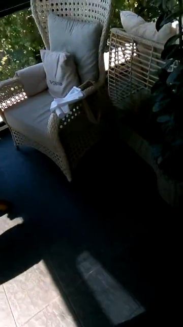 Меня поздравляли в чудесном ресторане в г.Сочи "Плакучая ива"прекрасный молодой коллектив!!! смотреть онлайн