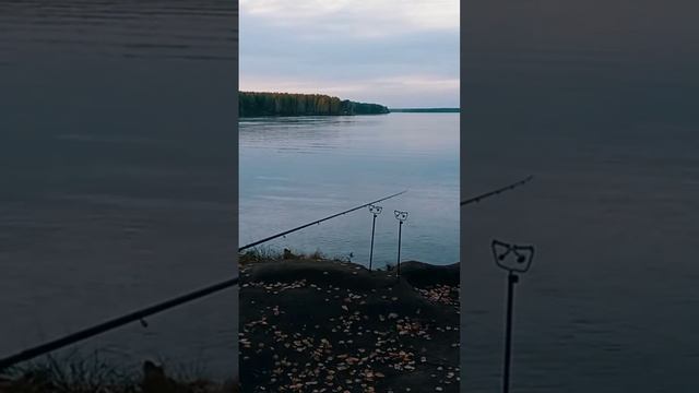 #camp #camping #camper #fishing #кемпер #автодом #домнаколесах #кемпинг #asmr #рыбалканафидер