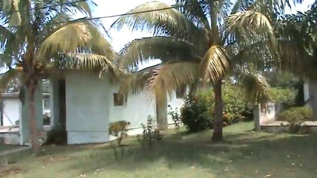 Новая Деревня, Опушка вторая половина улицы , смотреть онлайн