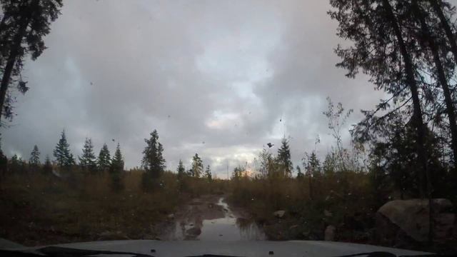 Покатались по лесу.... (timelapse) смотреть онлайн