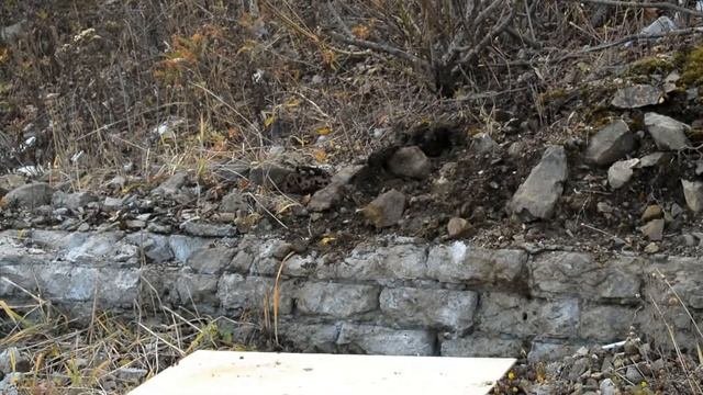 Тестовый отстрел пуль Ш Ш с весом 34.5 гр, на порохе VECTAN и СОКОЛ
