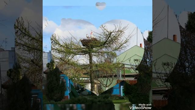 МОЯ НОВОСТЬ: БЕЛОРУССИЯ - ДЕРЕВНИ 🏡 У ВЁСЦЫ 🏡