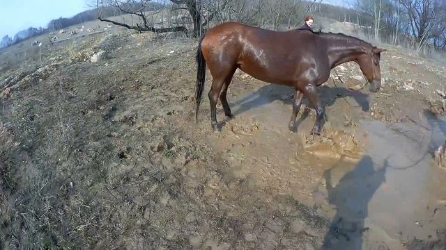 Открытие купального сезона и первый выпас в этом году) смотреть онлайн
