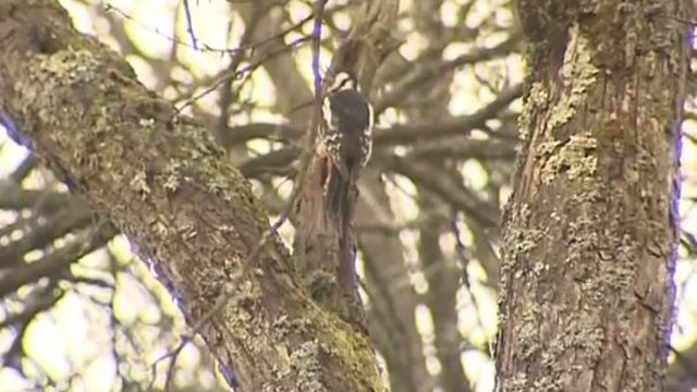 12 03 2014 Тур выходного дня_Житковичи смотреть онлайн