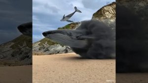 1000005987.mp4