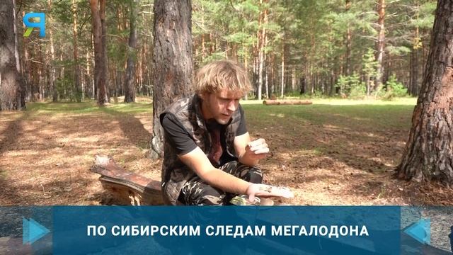 Ямал-Медиа - Находки возрастом 40 млн лет (ИНТЕРВЬЮ) смотреть онлайн