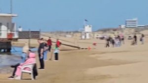 Анапа_мазут_ новости пришел сухой сезон на
 краснодарском курорте пляжи летом будут закрыты