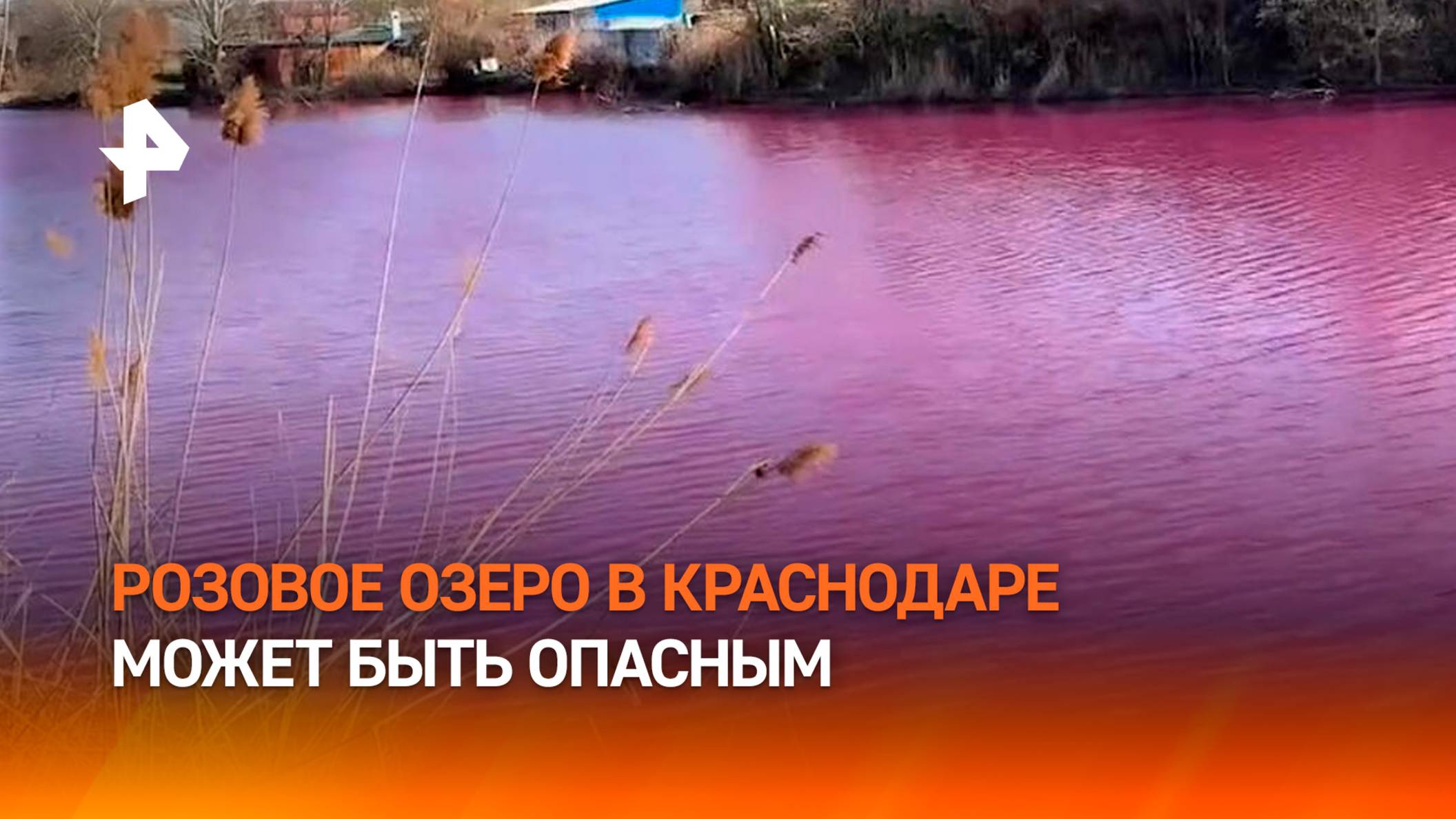 Популярное у туристов розовое озеро в Краснодаре может быть опасно для людей / РЕН Новости