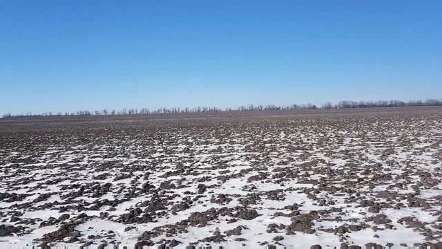 Находка просто - Класс!Я в Шокеее!!! #царики смотреть онлайн