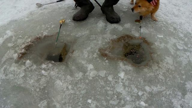 Зимова риболовля на кризі/Зима 2021/Січень2021 смотреть онлайн