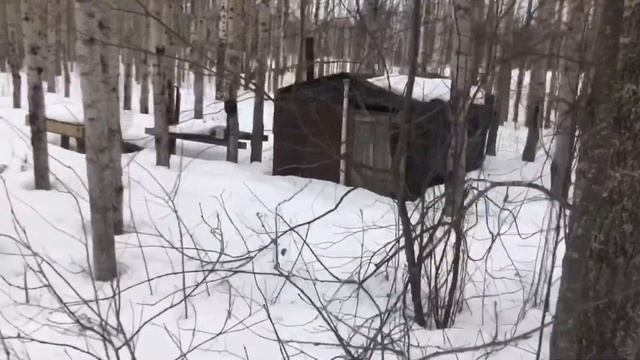 Экстремальный таежный поход Саши Счастливого. Room-тур по избам и пополнение припасов смотреть онлайн