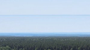 Земля в лесу рядом с озером