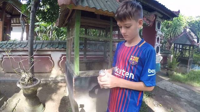 Нашли визитку Своим ходом))Нуса Пенида 7.01.18г. смотреть онлайн